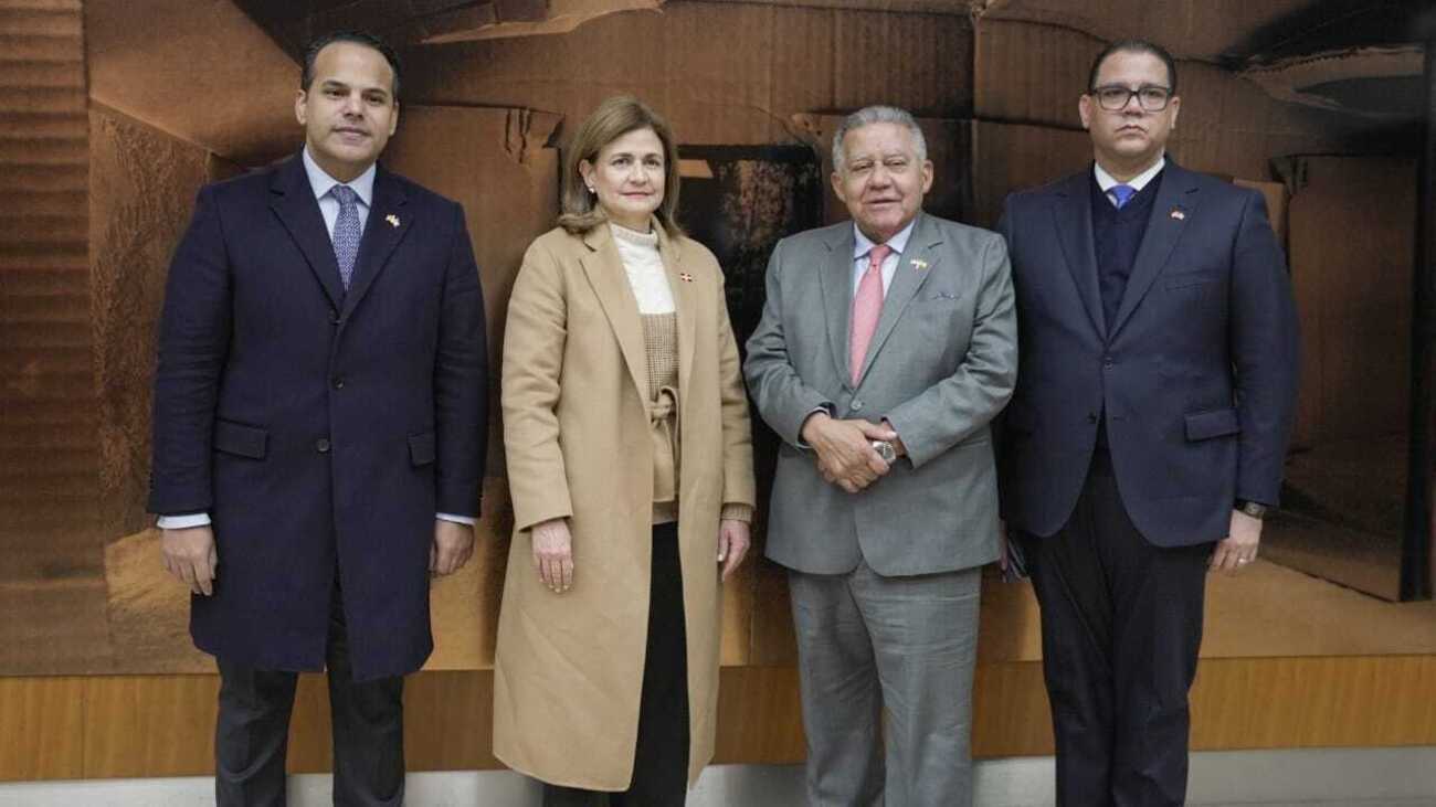 Vicepresidenta Raquel Peña