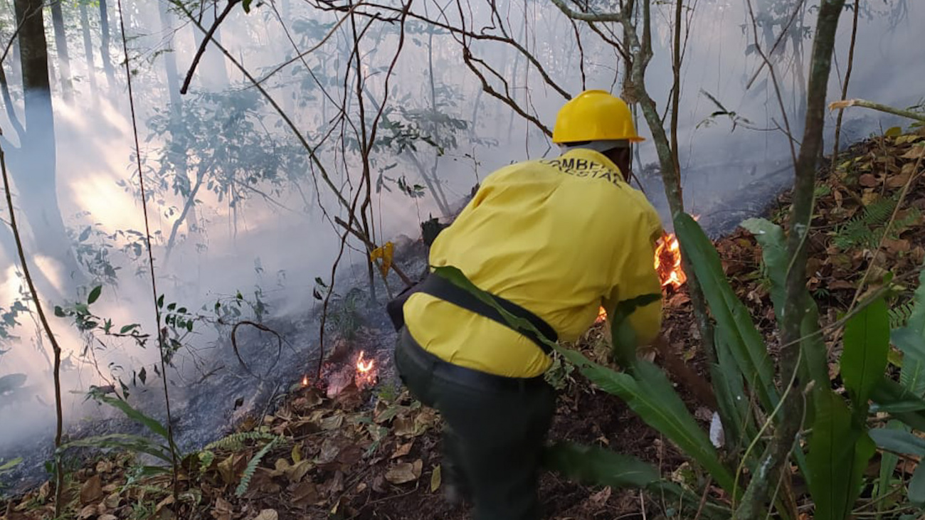 Bombero en acción