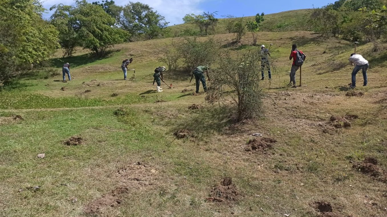 Jornada de forestación