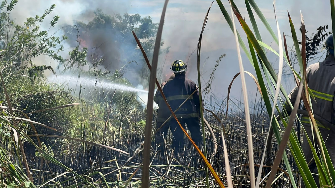 Bomberos en acción