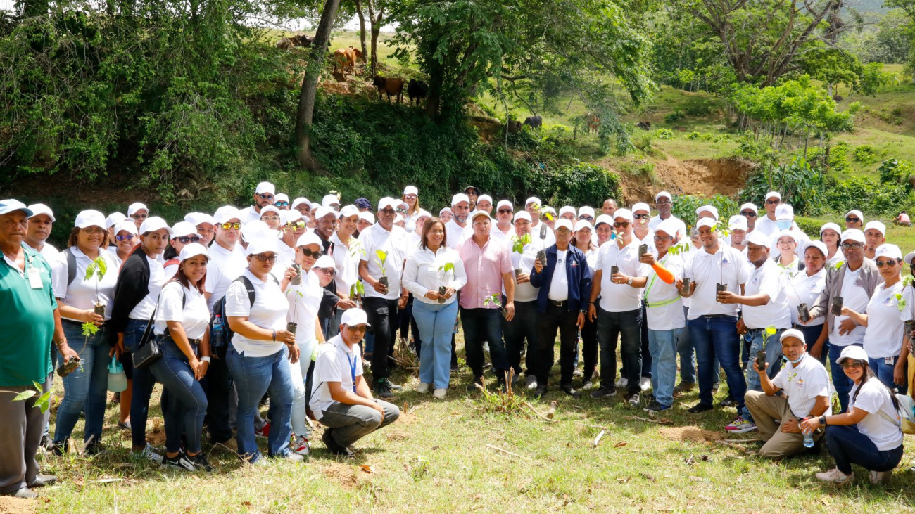 Reforestación