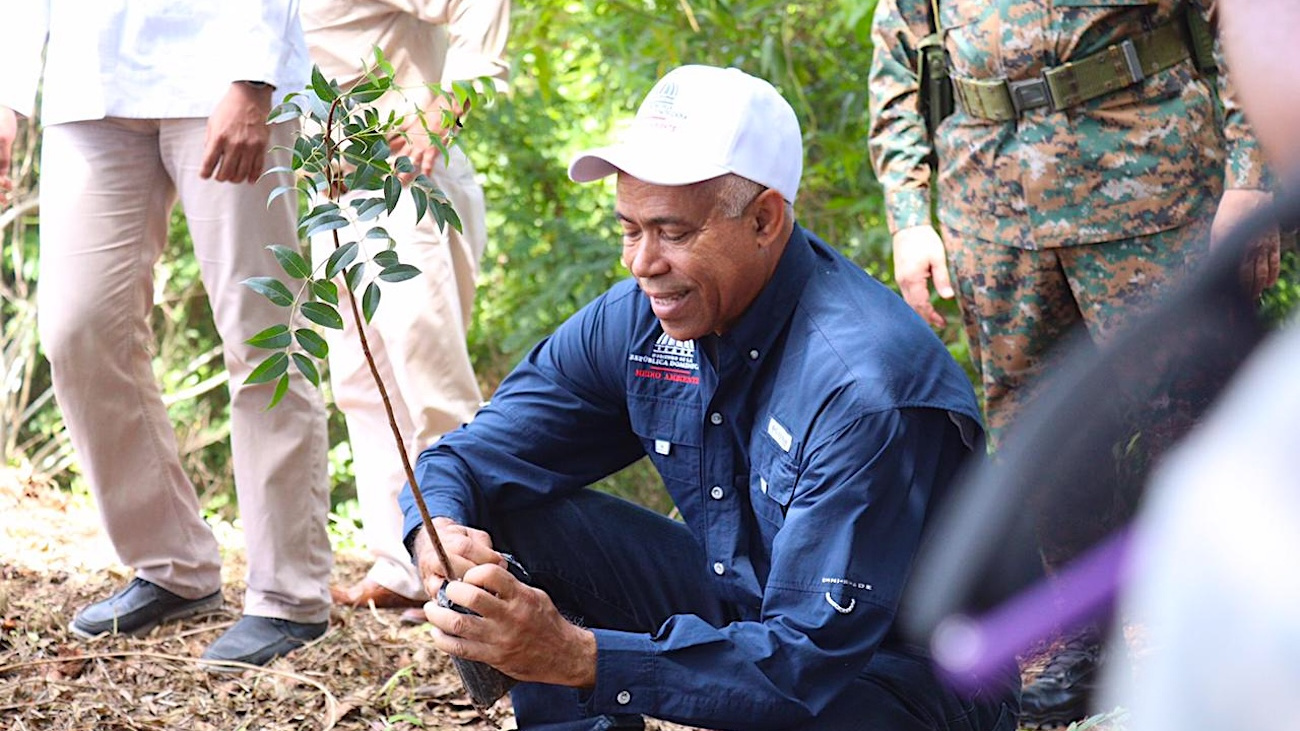 El Plan Nacional de Reforestación 2023-2024 avanza con brigadas que trabajan en distintos puntos del país