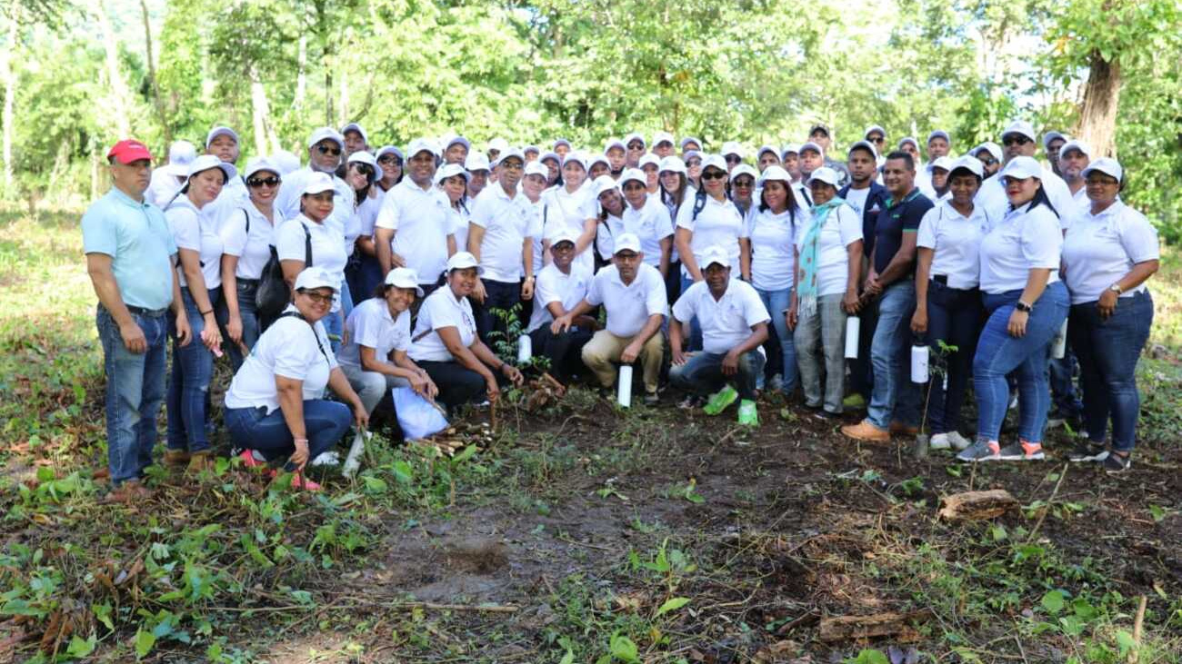 Empleados de Contraloría participan en jornada de reforestación
