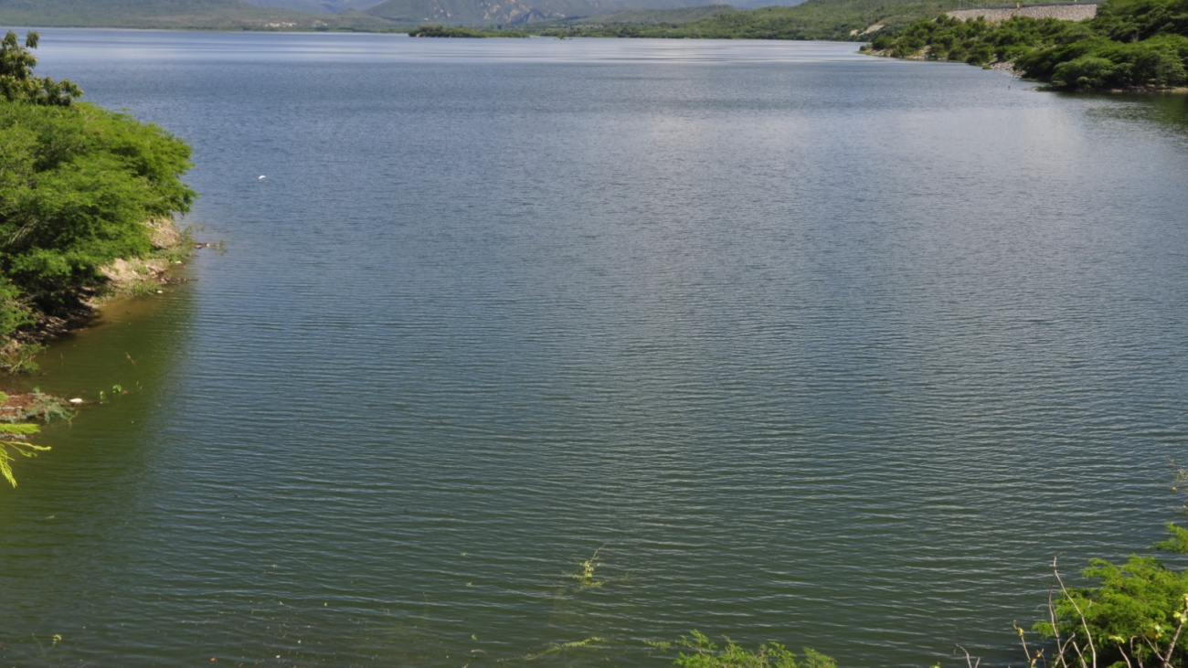 Presa