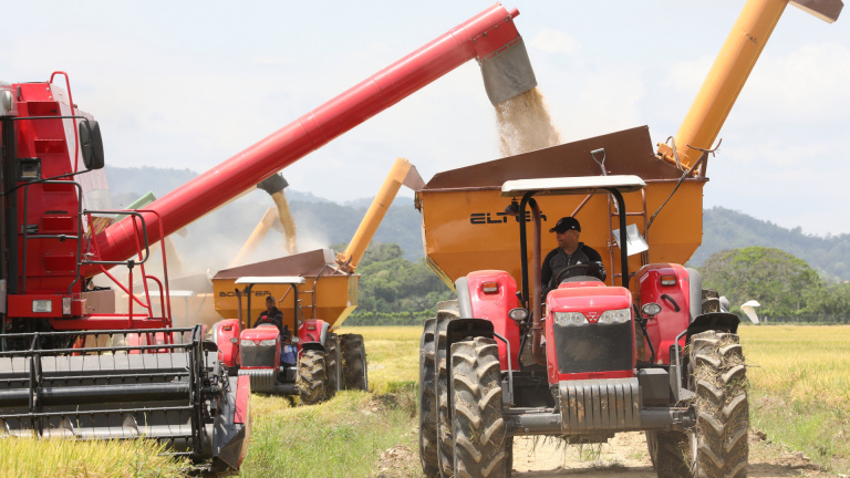Agricultores dominicanos 