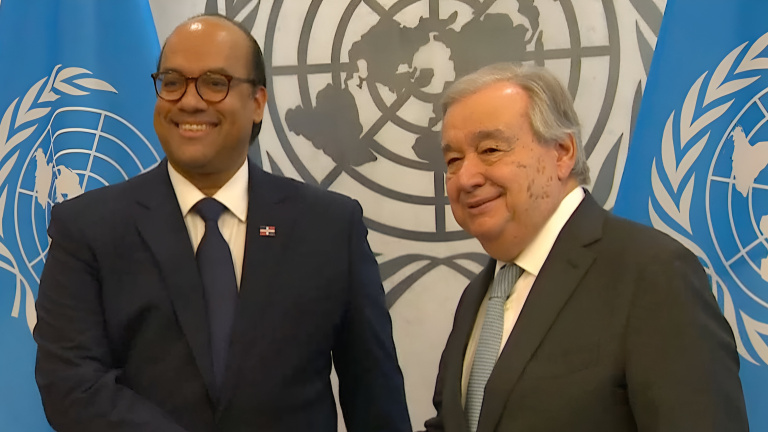 RD en ONU
